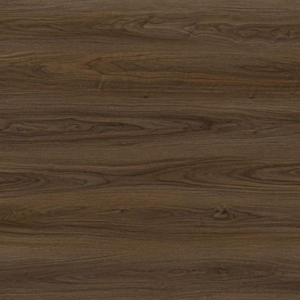 Toucan Laminate TF6601 F 1
