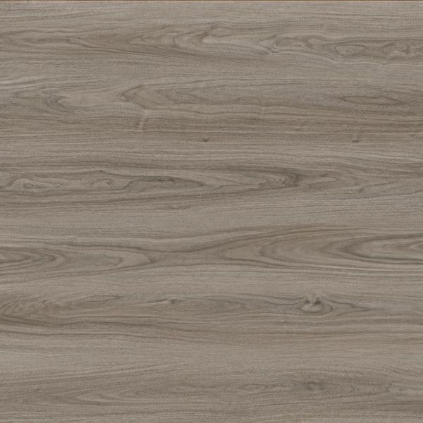 Toucan Laminate TF6603 F 1