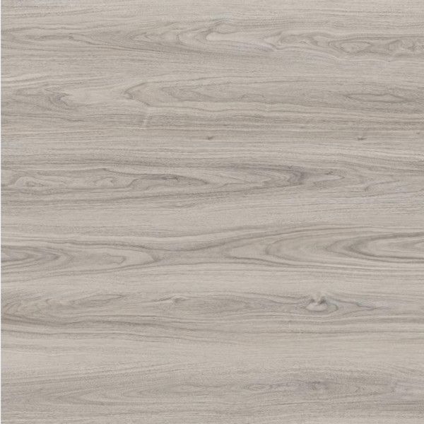 Toucan Laminate TF6604 F 1