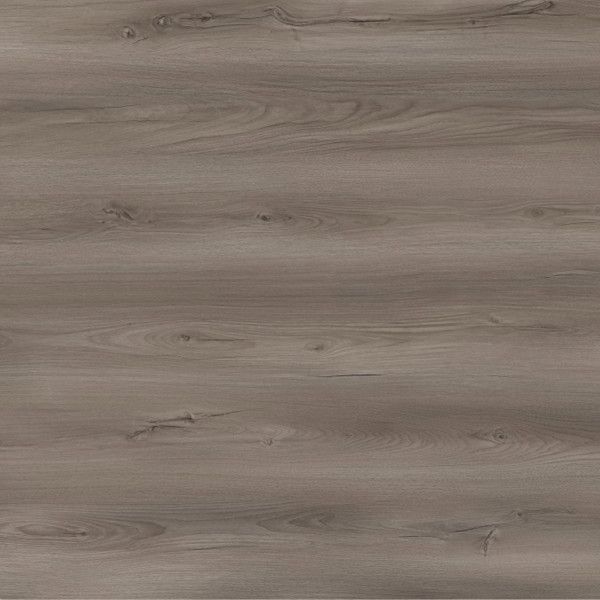 Toucan Laminate TF6605 F 1