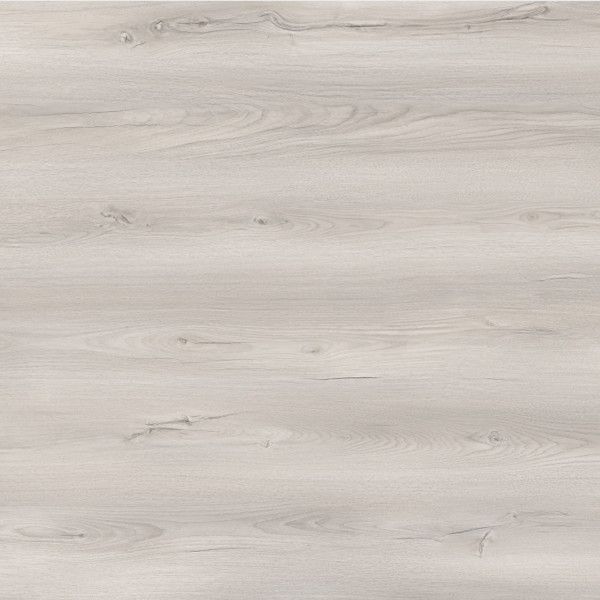 Toucan Laminate TF6608 F 1