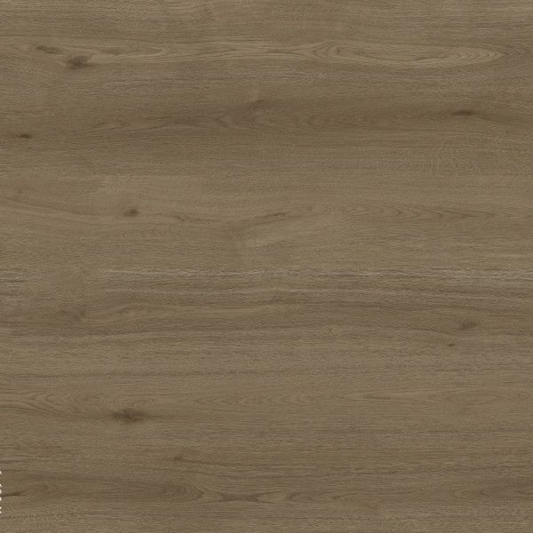 Toucan Laminate TF6609 F 1