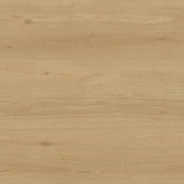 Toucan Laminate TF6611 F 1