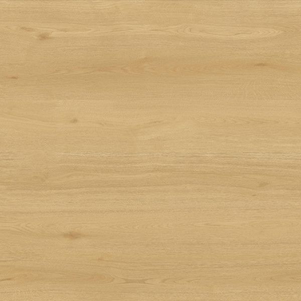 Toucan Laminate TF6612 F 1