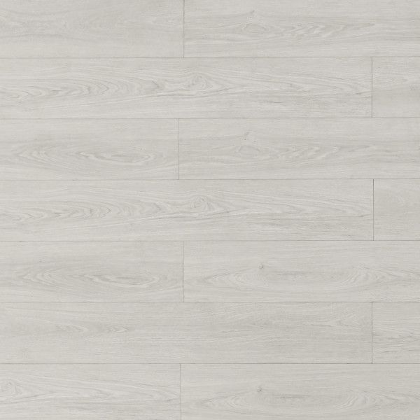 Toucan Laminate TF8101 1