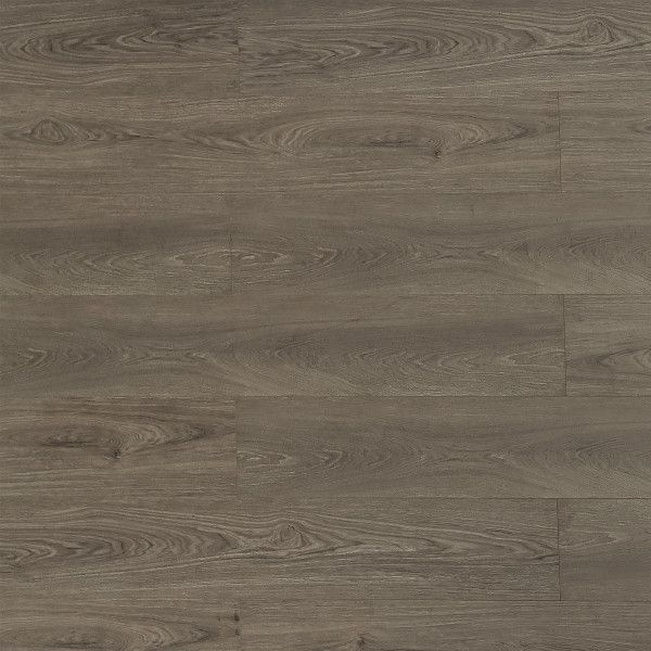 Toucan Laminate TF8102 1