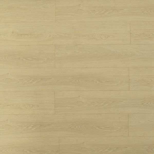 Toucan Laminate TF8103 1
