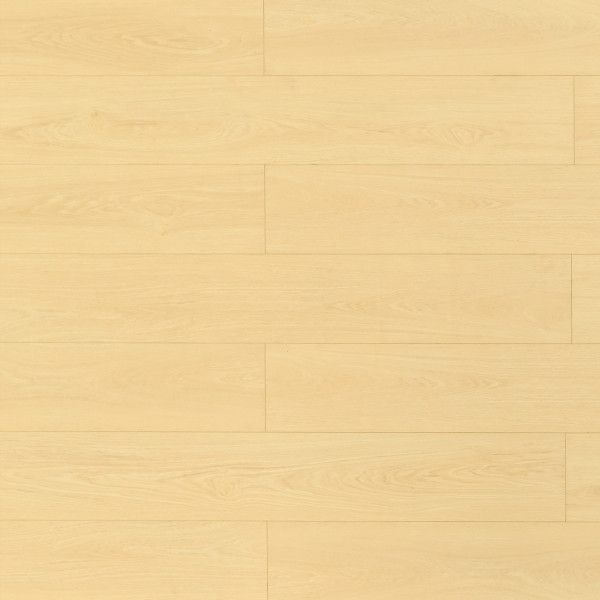 Toucan Laminate TF8104 1