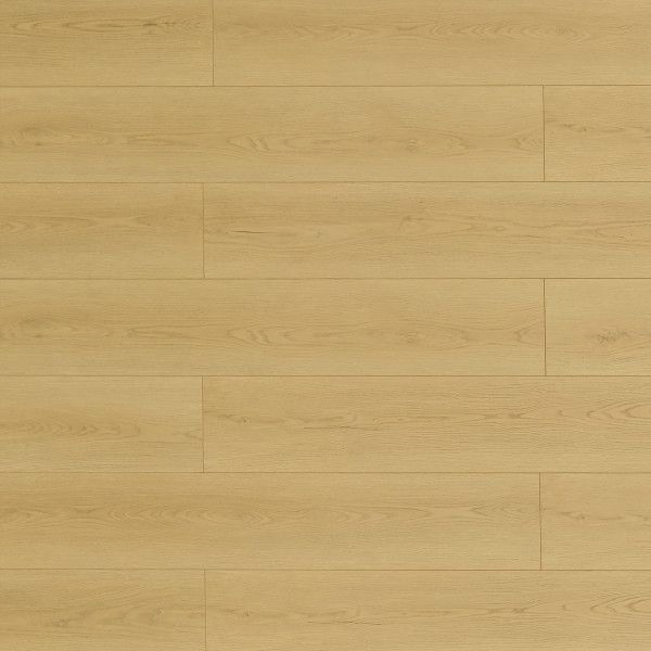 Toucan Laminate TF8107 1
