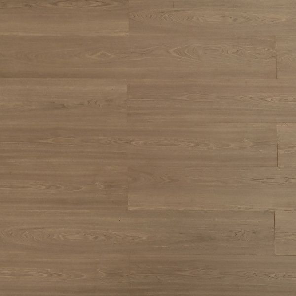 Toucan Laminate TF8109 1
