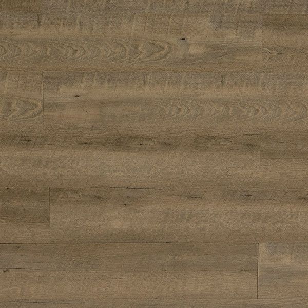 Toucan Vinyl TFL605 sideview searchresults