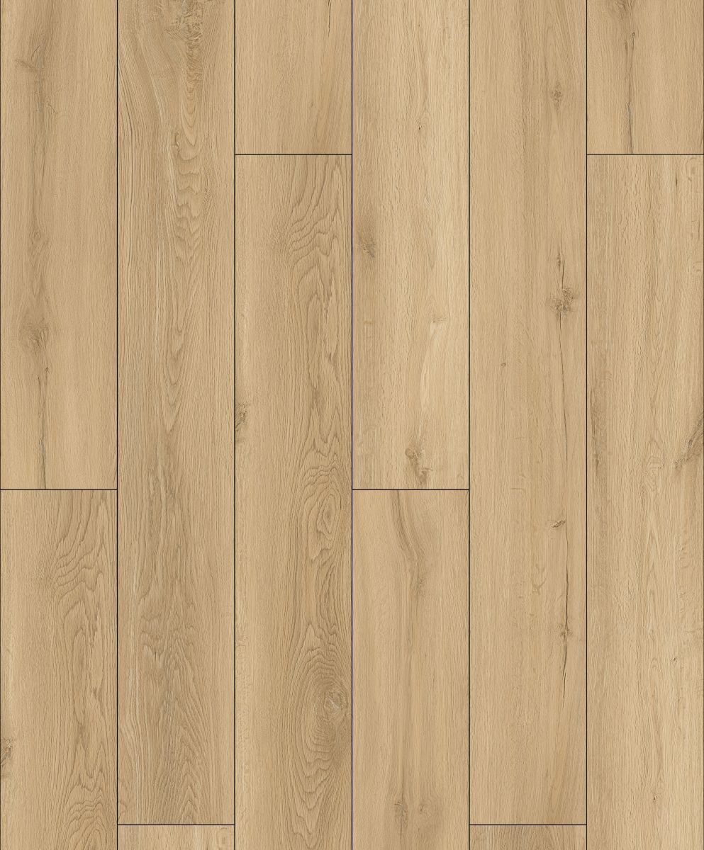 Vinyl 6 Collection 603