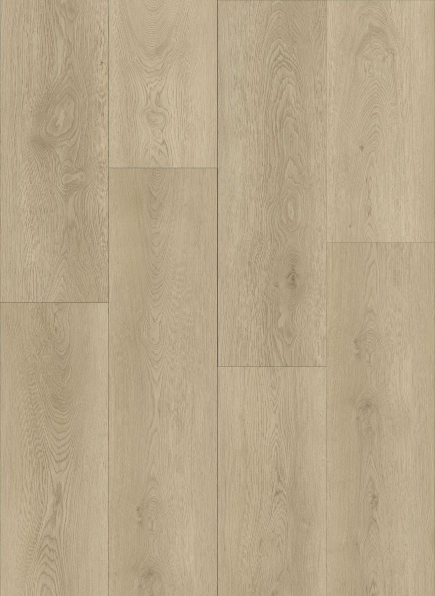 Vinyl 6 Collection 610
